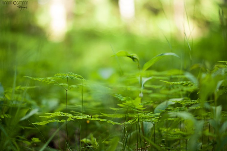 © Hanna Östman hannushanna.blogspot.fi