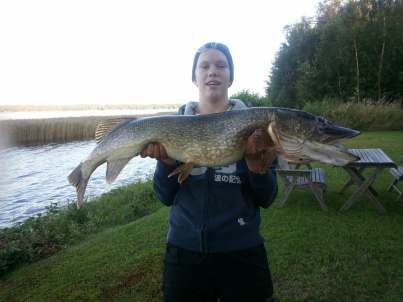 26653916_965090946963411_143599372_o